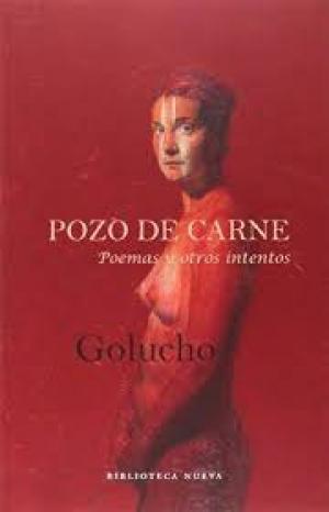Pozo de carne